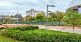 Профессиональное озеленение улиц в Кирове-Чепецке в октябре