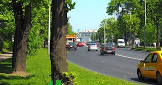 Посадка деревьев и кустарников в Кирове-Чепецке — стоимость от 1305 руб.